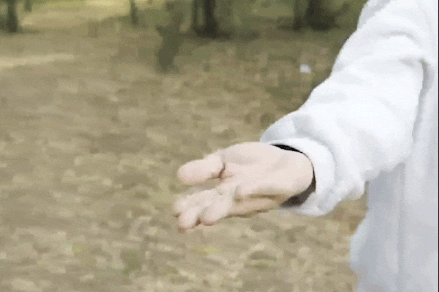 一键起飞、360°翻滚圆孩子航天梦米乐m6299入儿童版⌈大疆⌋！(图8)
